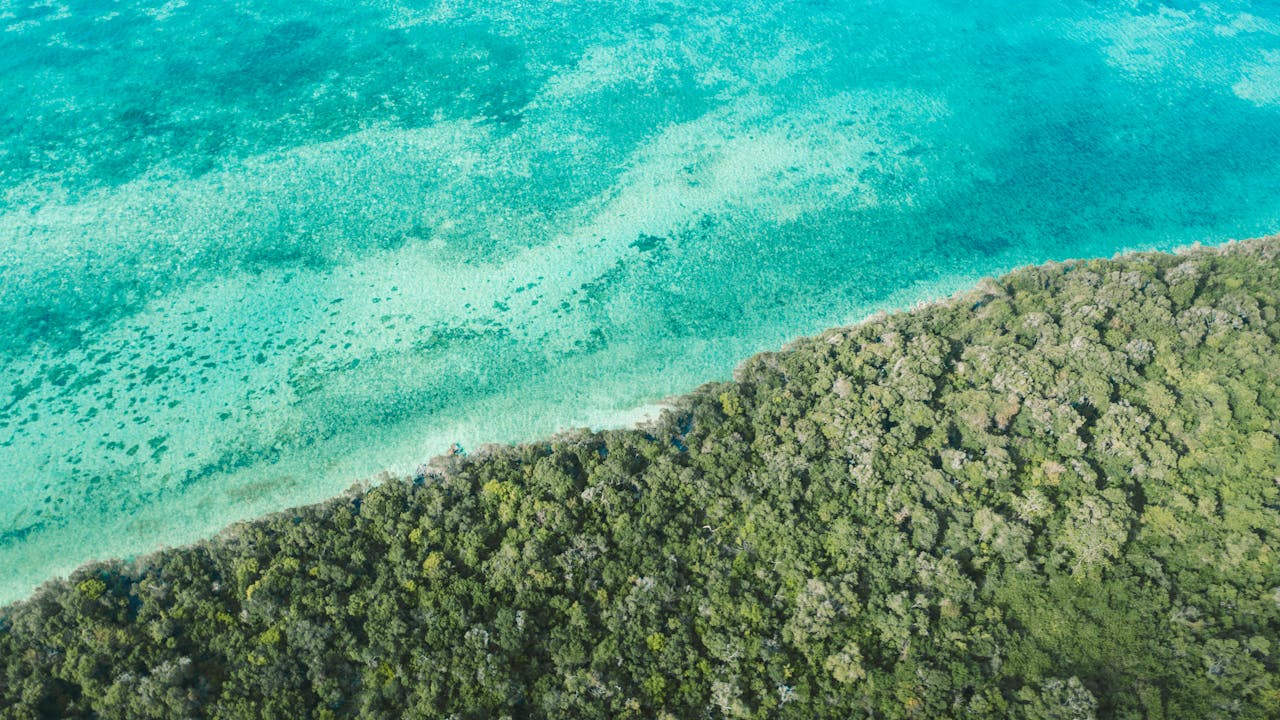Aerial view of Zanzibar's turquoise ocean meeting lush green forest.