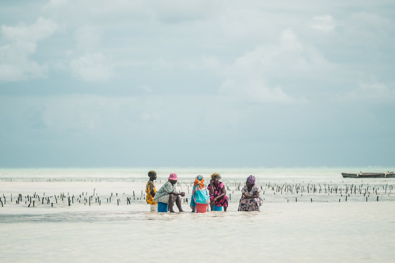 our-story African women traditionally harvesting seaweed on Zanzibar beach, showcasing island life and culture.